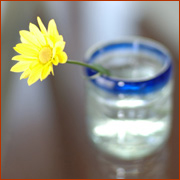 �󒲁A�P�[�W�̊m�F�����A�˒�������āA����߂āA�I���B